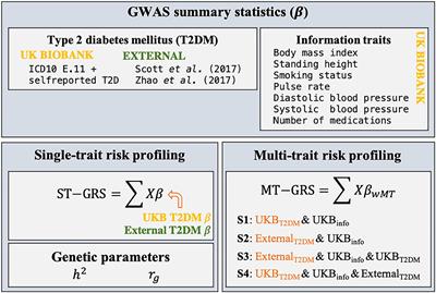 Multi-Trait Genomic Risk Stratification for Type 2 Diabetes